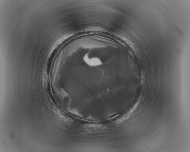 X0000111841117200908061248