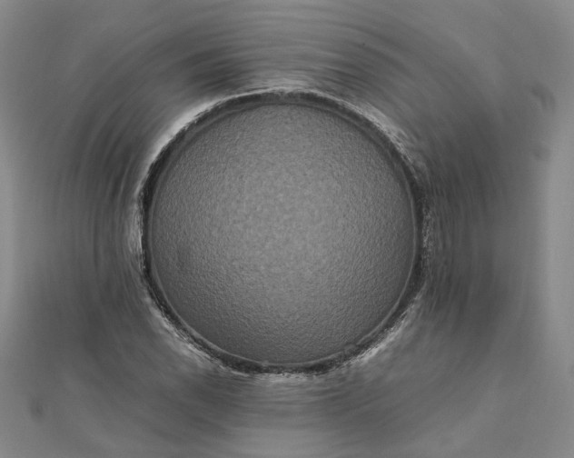 X0000111841118200908061248