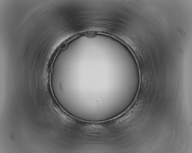 X0000111841119200908061248