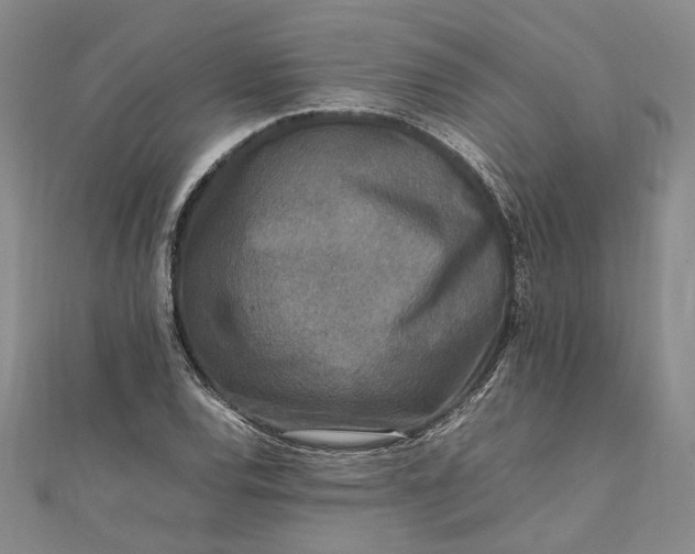 X0000111841120200908061248