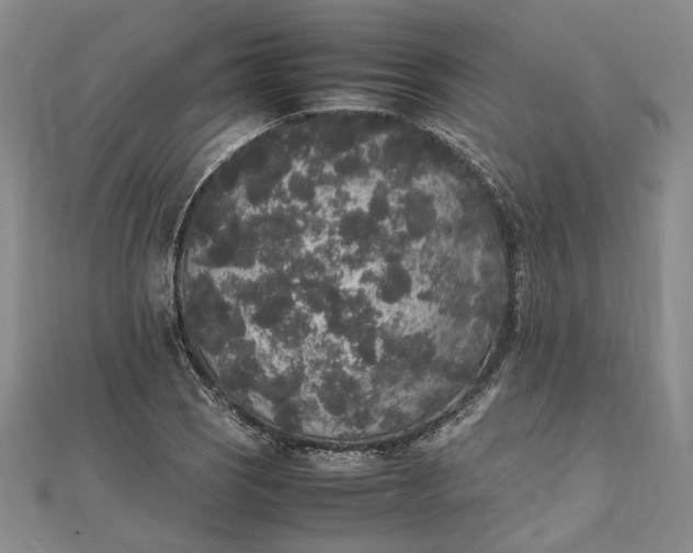 X0000111841121200908061248