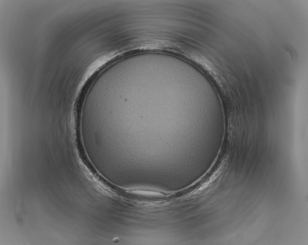 X0000111841122200908061248