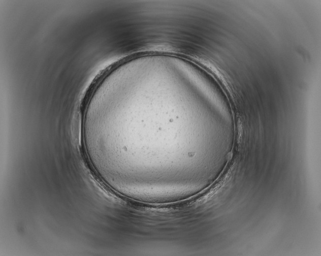 X0000111841123200908061248