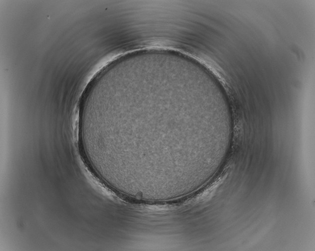 X0000111841126200908061248