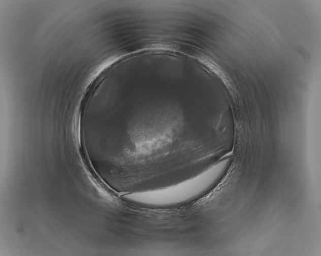 X0000111841127200908061248