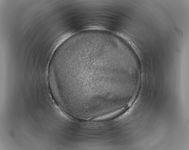 X0000111841129200908061248