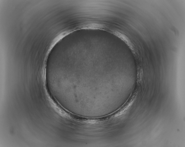 X0000111841130200908061248