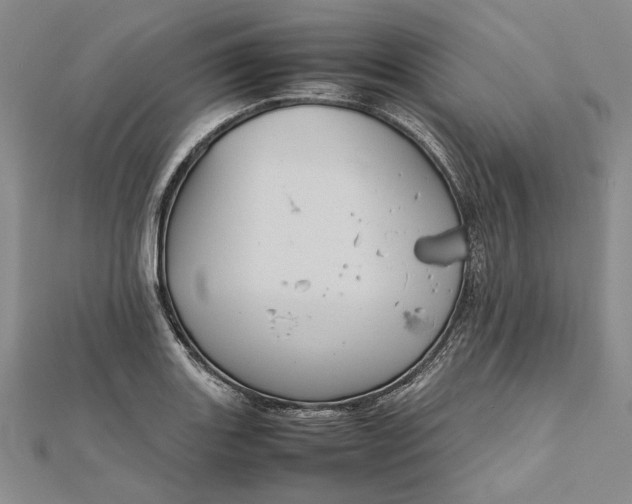 X0000111841131200908061248