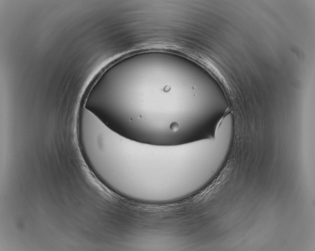 X0000111841132200908061248