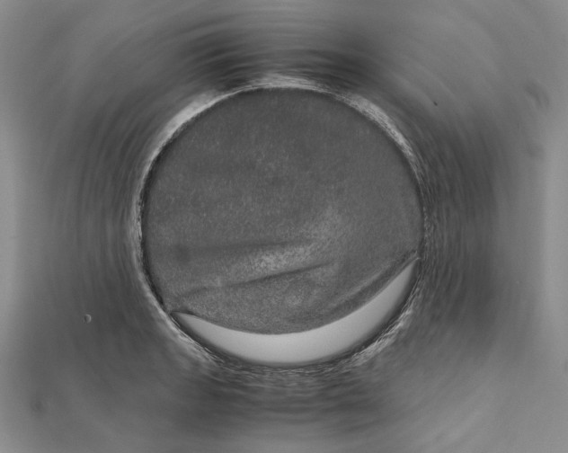 X0000111841133200908061248