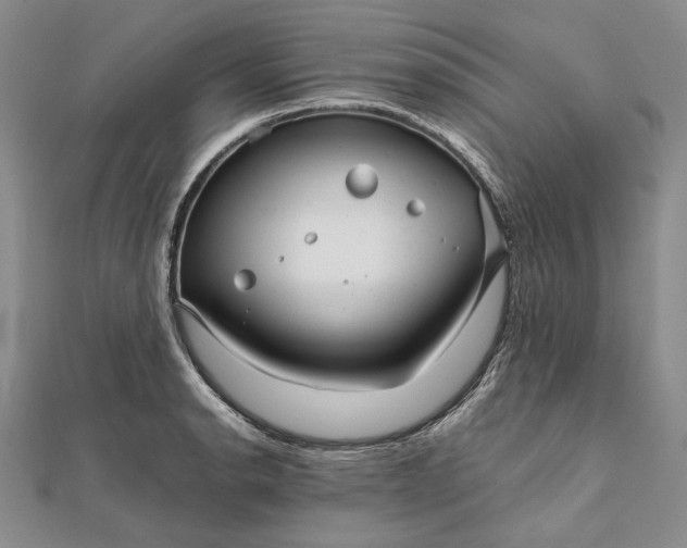 X0000111841134200908061248