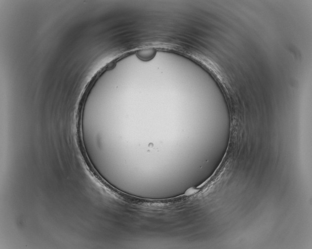 X0000111841135200908061248