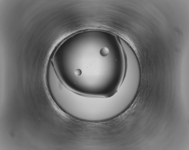 X0000111841136200908061248