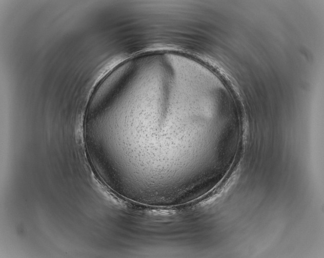 X0000111841137200908061248