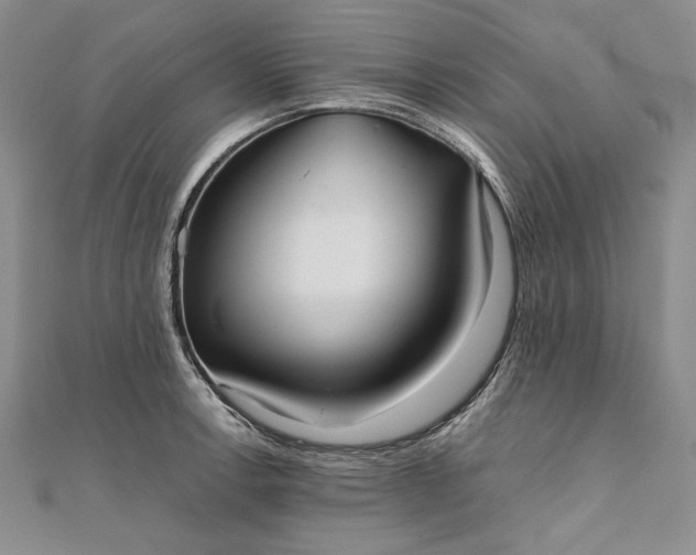 X0000111841138200908061248