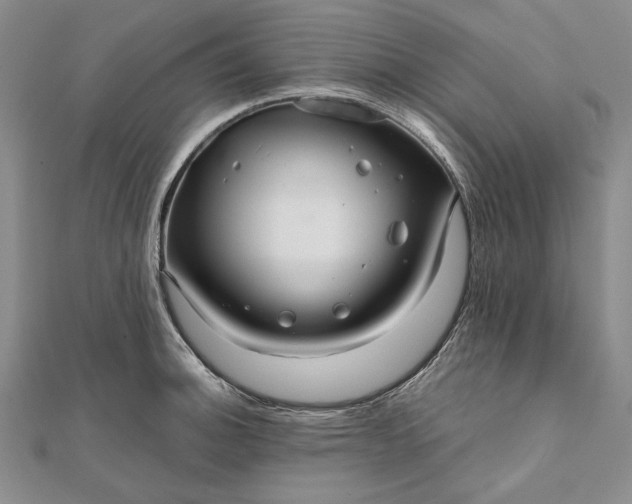 X0000111841140200908061248