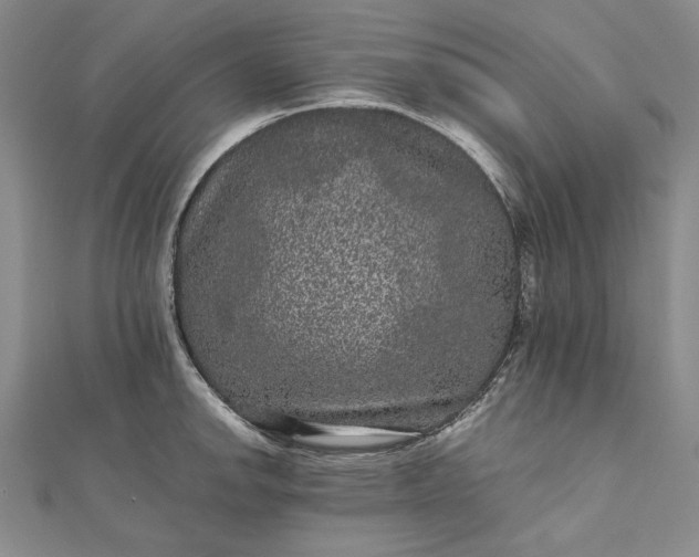 X0000111841142200908061248