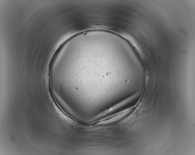 X0000111841143200908061248