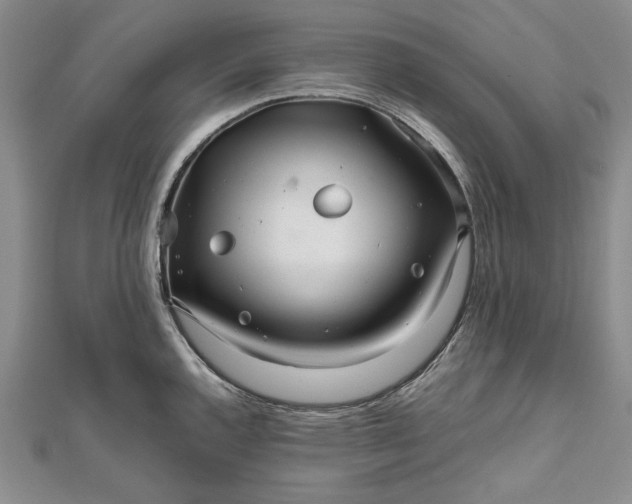 X0000111841144200908061248