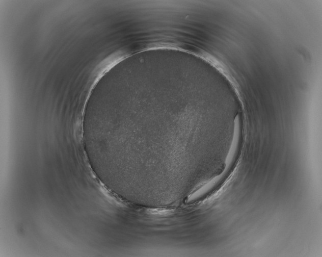 X0000111841145200908061248