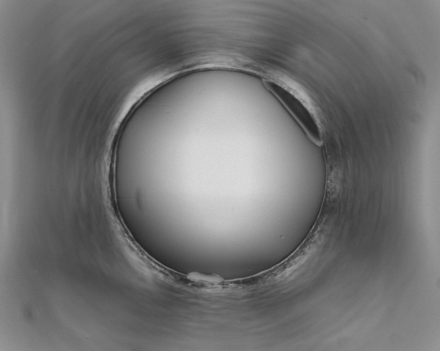 X0000111841146200908061248