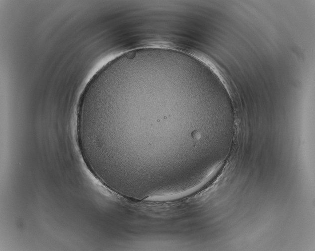 X0000111841147200908061248