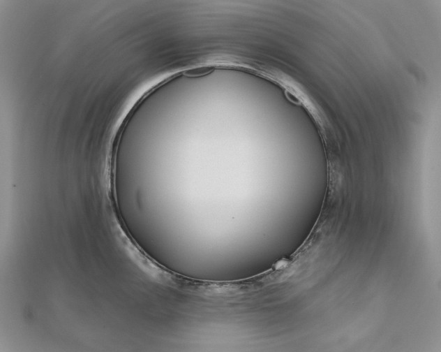 X0000111841148200908061248