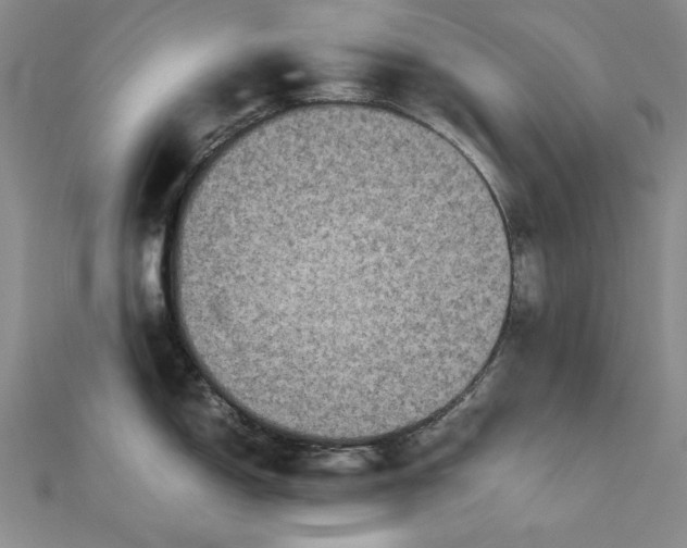 X0000111841150200908061248