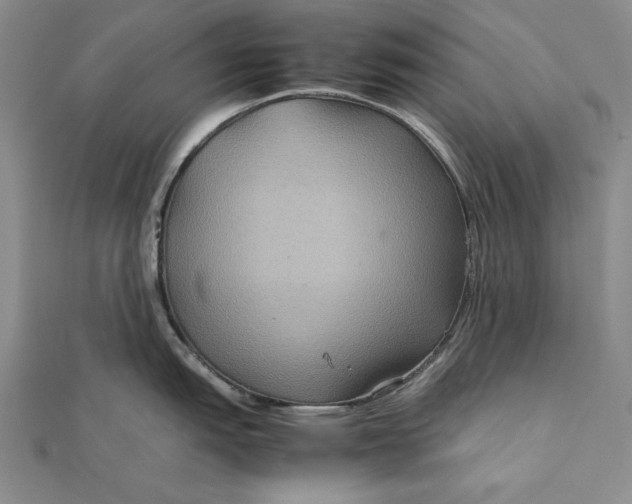 X0000111841151200908061248