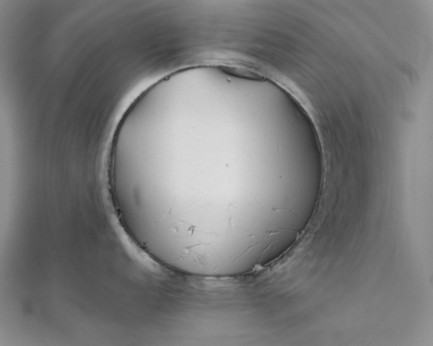 X0000111841152200908061248