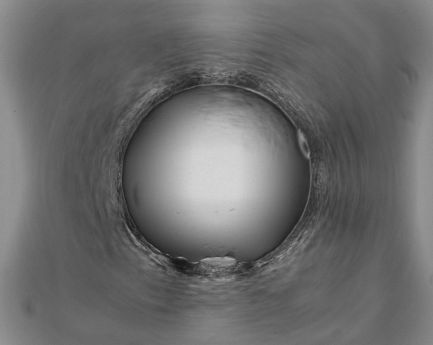 X0000111841153200908061248