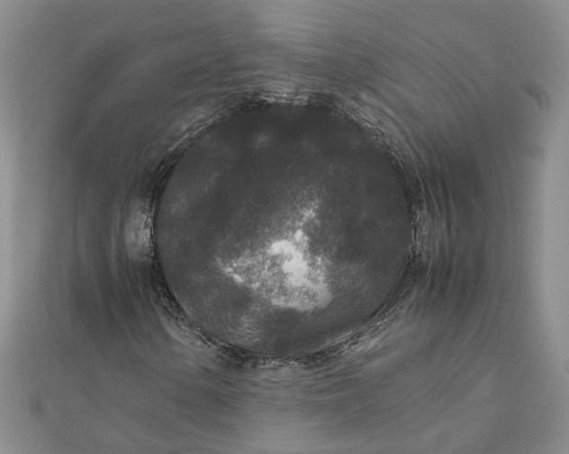 X0000111841154200908061248