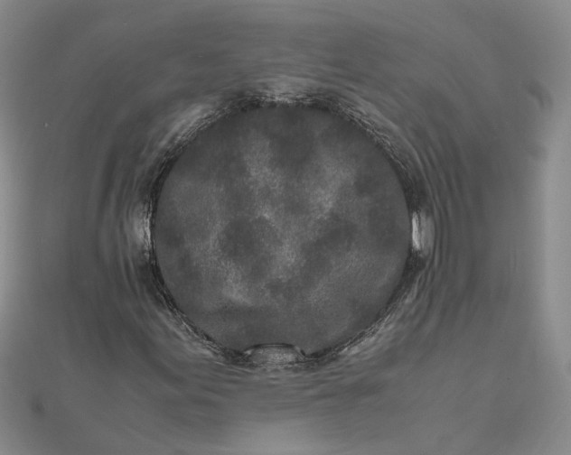 X0000111841155200908061248