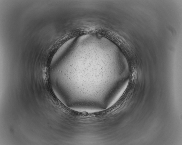 X0000111841156200908061248