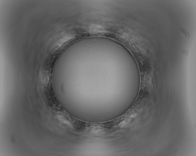 X0000111841157200908061248