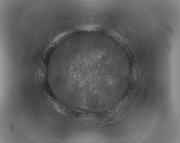 X0000111841158200908061248