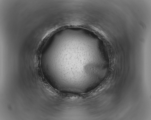 X0000111841160200908061248