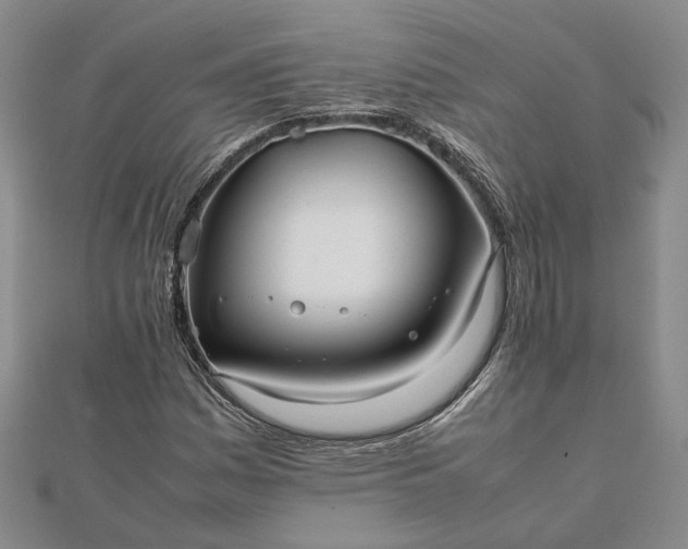 X0000111841161200908061247