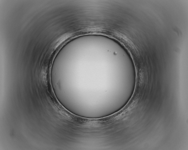 X0000111841162200908061247