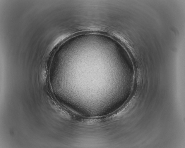 X0000111841163200908061247