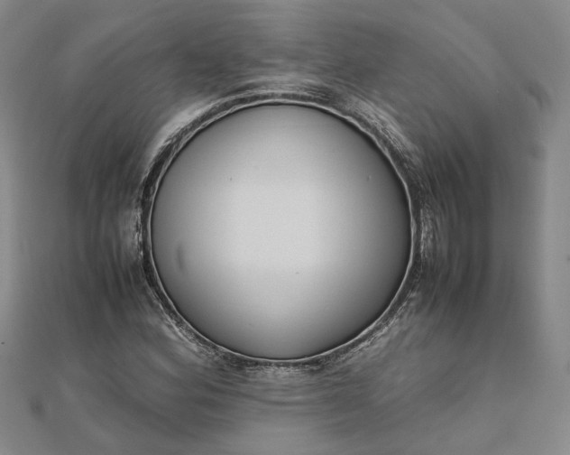 X0000111841164200908061247