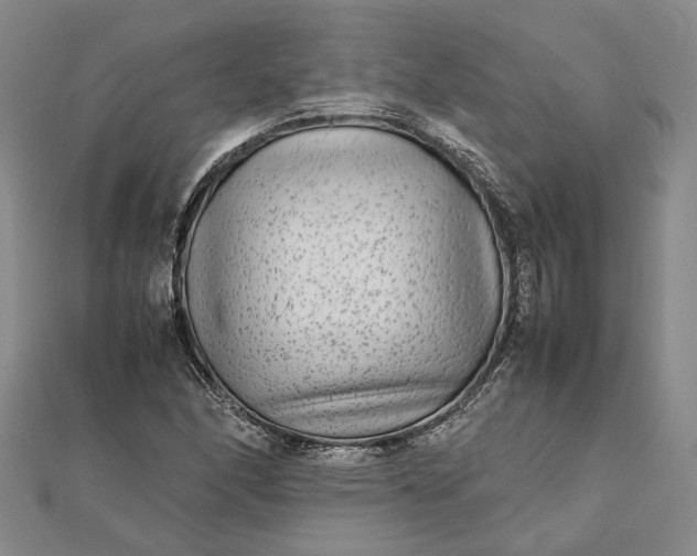 X0000111841166200908061247