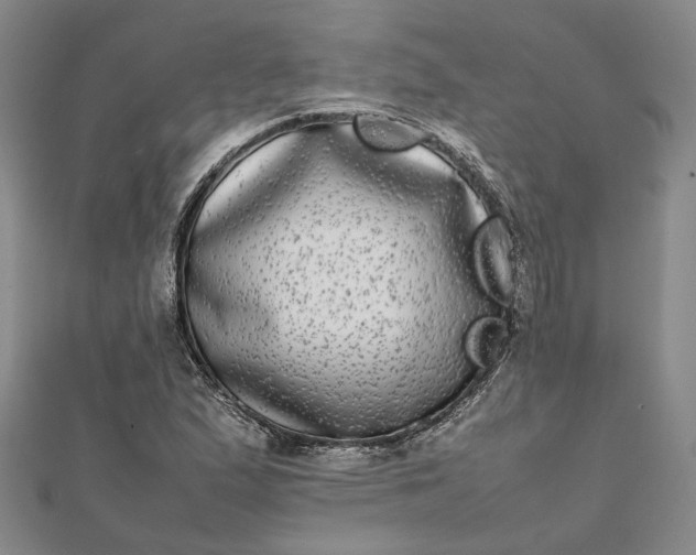 X0000111841167200908061247