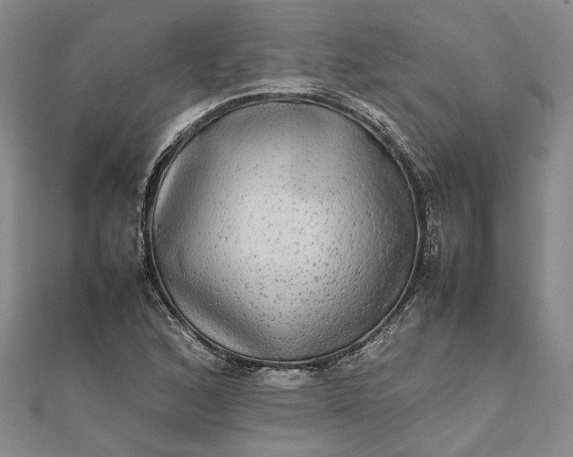 X0000111841168200908061247