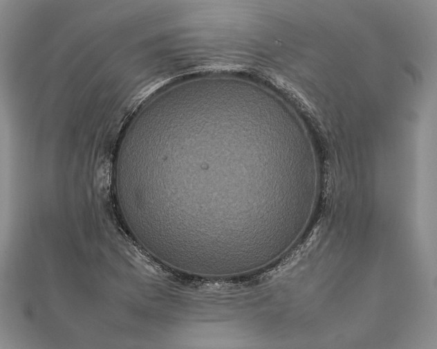 X0000111841169200908061247