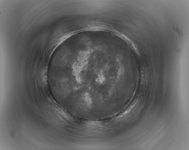 X0000111841170200908061247