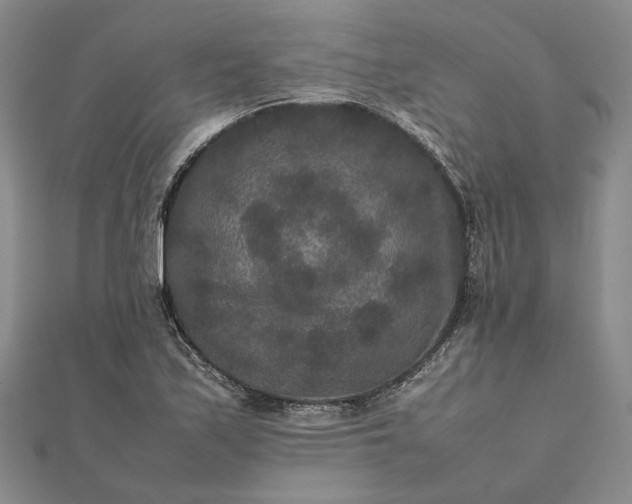 X0000111841171200908061247