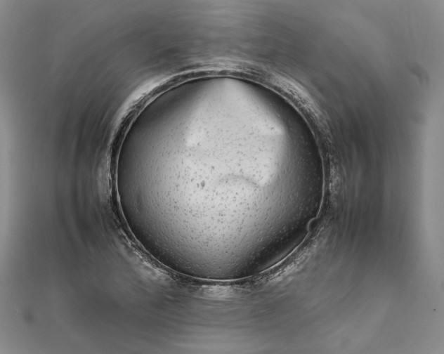 X0000111841172200908061247