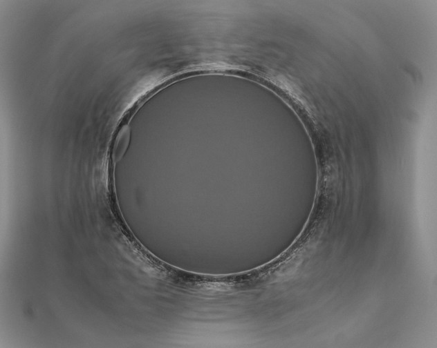 X0000111841173200908061247