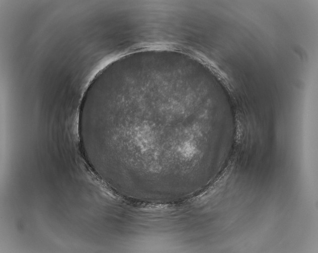 X0000111841174200908061247